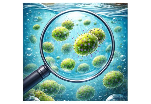 Enterococchi nell’acqua – cosa fare?